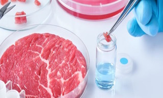 Лабораторный анализ пищевых продуктов по СанПиН в Гае в октябре
