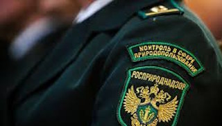 Подготовка к проверке Росприроднадзора в Гае от ПромМир-Гай, стоимость услуги от 20332 руб.